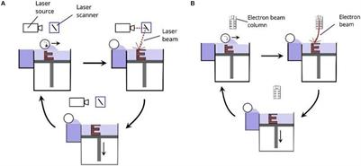 Metal Material, Properties and Design Methods of Porous Biomedical Scaffolds for Additive Manufacturing: A Review